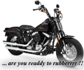 HARLEY-DAVIDSON SOFTAIL CROSS BONES FLSTSB